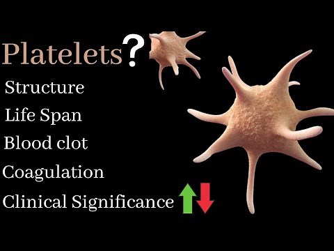 Platelets structure | Function | clinical significance | Blood coagulation | Blood clot