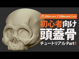ZBrush / ZBrushCoreを始めてみよう - 頭蓋骨 part1
