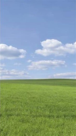 I will convince YouTube algoritm