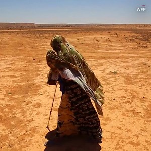 More than 20 million people face starvation & famine due to drought and violence. Like Global Emergency Response Coalition to learn how you can help #fightfamine http://cnn.it/2tWsIEM | CNN