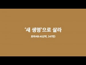 2025년 12월 14일 대구은천교회 주일2부예배 실황