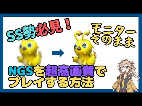 【PSO2NGS】 SS勢必見！NGSを超高画質でプレイする方法【PC】