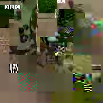 How do spiders build their webs? 🕷️🕸️ | BBC World Service