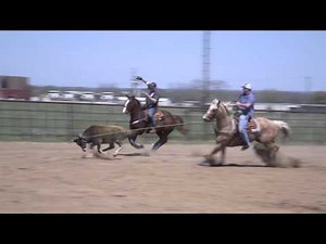 DruStew Team Roping Practice: keeping horses free