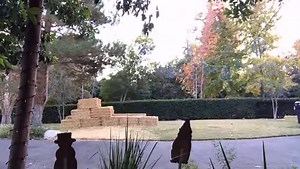 Unforgettable Snow Party Experiences | The Entertainment Contractor