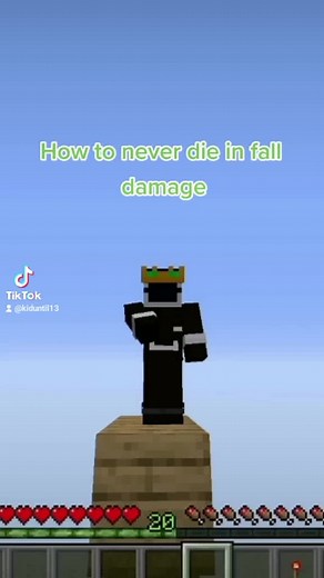 How to never die in fall damage #kiduntil13 #follow #like #share #fyp #minecraft