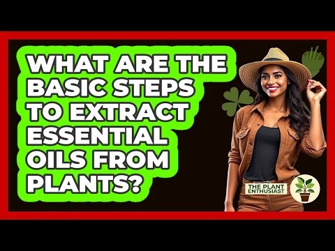 What Are The Basic Steps To Extract Essential Oils From Plants? - The Plant Enthusiast