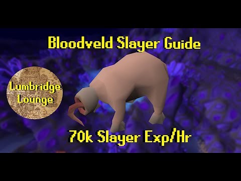 OSRS 2022 Bloodveld Slayer Guide - 70k Slayer Exp/Hr
