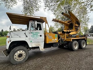 Tree Spade in Action—Transplanting a Large Tree