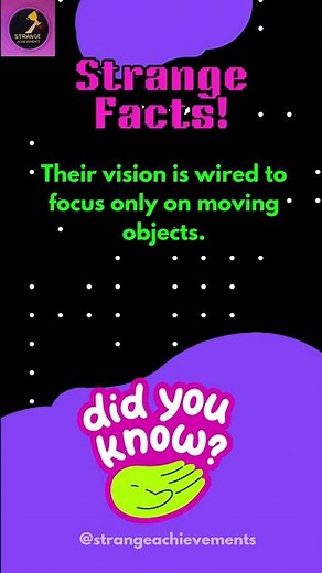 Frog Focus: How Frogs See the World Through Their Unique Eyes