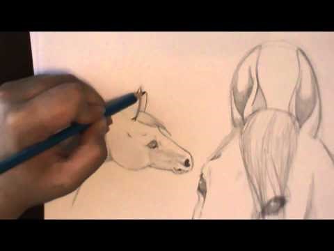 How Draw Horse Ears