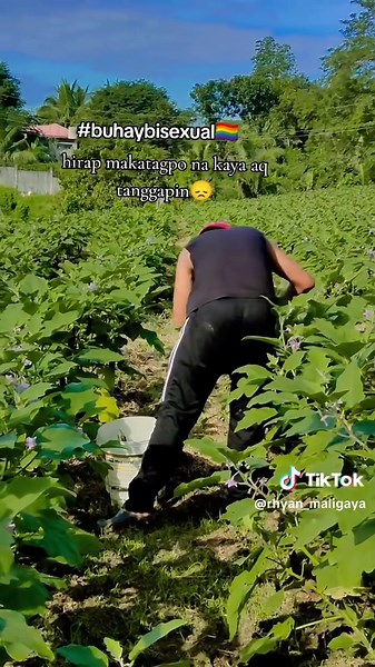 mr.bisexualproud (@rhyan_maligaya)’s videos with Bawat Daan - 🦋𝚂𝚊𝚖 𝙼𝚊𝚗𝚐𝚞𝚋𝚊𝚝 🪽✨