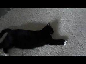 Repurpose: New Uses For A Box Spring Frame