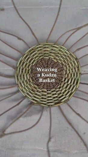 Weaving a Simple Basket with Kudzu Vines