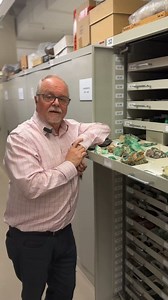 🪨✨ Love rocks, minerals, and museum magic? We're hiring an Assistant Collection Manager to help curate, study, and share the wonders of Earth Sciences at the South Australian Museum! You'll play a key role in organising the largest single mineral acquisition at the Museum in over 100 years - the David Vince collection. If you're ready to dig into this exciting role, check out the details and apply before 25 October 👉 https://lnkd.in/eACUdAnX | South Australian Museum