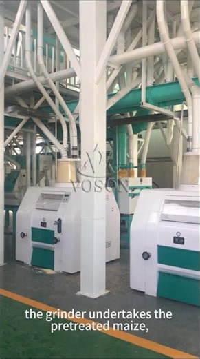 Maize Milling Machine | Voson Grain Engineering Machinery