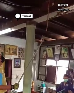 Imagine finding that in your ceiling 😳🐍 | Metro