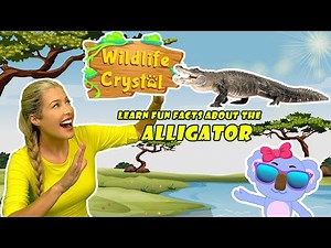 Alligator Facts