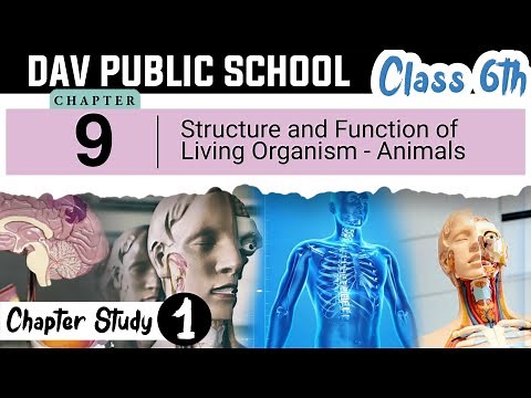 Chapter 9 | Structure and Function of Living Org - Animals | Class 6 DAV Science (Part 1) 🔥🔥🔥