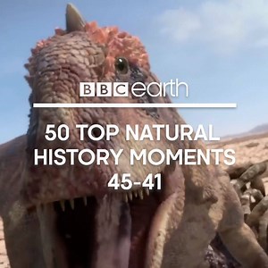This Earth Day, stay in and explore the beauty, drama and spectacle of our natural world with 50 incredible natural history moments from BBC Earth. | BBC Earth