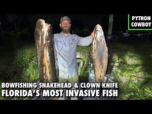 Bowfishing For The Most Invasive Fish In Florida