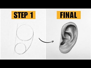 How to Draw Realistic EAR - Step by Step guide for beginners