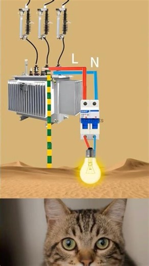 Where Does Neutral Wire Current Go?#electrical #duet