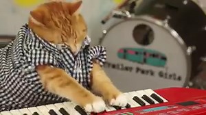 KEYBOARD CAT 96 TEARS! | Keyboard Cat