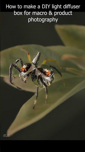 How to make a DIY light diffuser box for macro & product photography #shorts