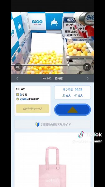 オンラインでクレーンゲーム挑戦！トートバッグをゲット