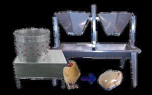 Chicken Slaughter Line - Zhauns