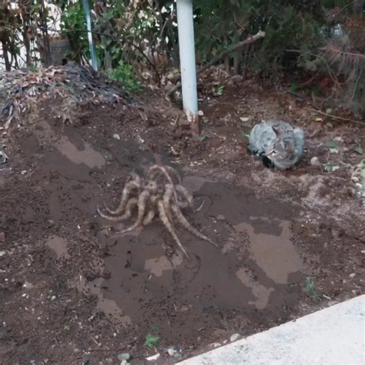 Master Photorealistic Rendering Techniques with Lens FX Course