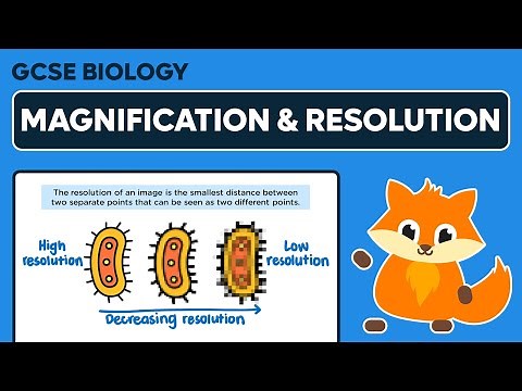 Magnification & Resolution - GCSE Biology