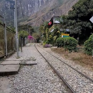 81K views · 294 reactions | Gopher Digging a Hole | Daily US Buzz | Facebook