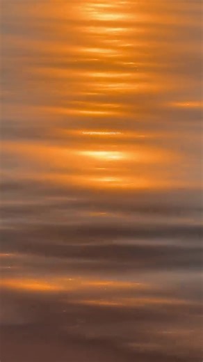 13K views · 190 reactions | Golden hour in our little paradise never disappoints!   hani_cookislands [IG] | Cook Islands | Facebook