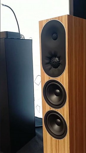 New PMC prophecy #audiophile #hifi #sound