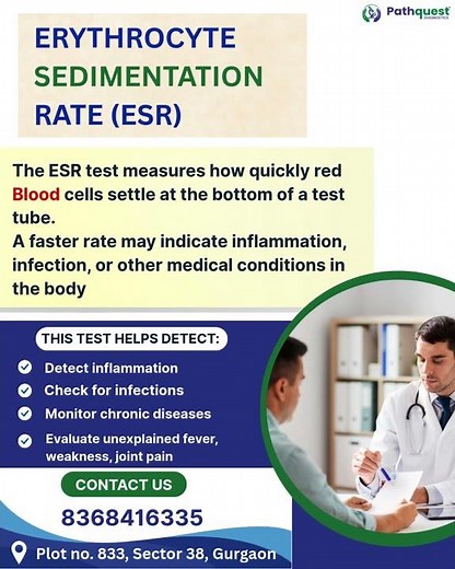 ESR Test (Erythrocyte Sedimentation Rate) | Inflammation & Infection Detect | Pathquest Diagnostics