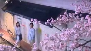 RSP - Sakura Aitai yo -Anata Ni Aete Yokatta-