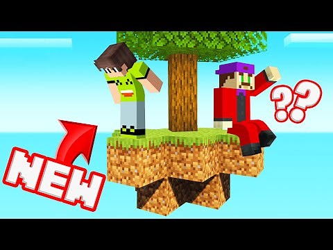 Playing SKYBLOCK On My *NEW* MINECRAFT SERVER!