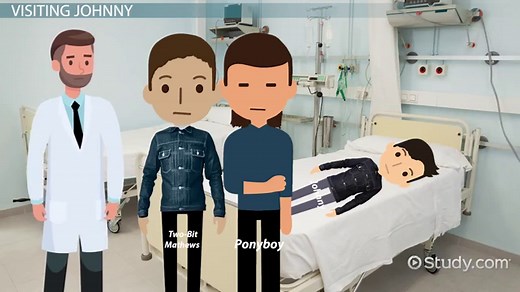 The Outsiders Chapter 8 | Summary & Characters