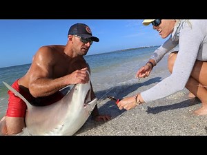 How To Catch GIANT SHARKS Fishing from the Beach! (Captiva Island Fishing)