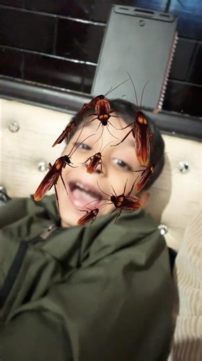 Best Filter Cleaning Method | Avoid Damage & Improve Airflow