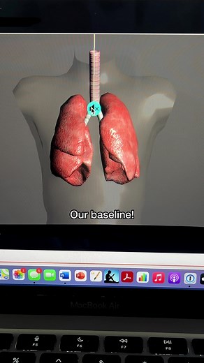 Recognizing Abnormal Lung Sounds: A Nurse's Guide to Assessment