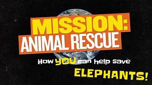 8.7K views · 251 reactions | Did you know elephants can use their trunks as a snorkel in deep water? | National Geographic Kids | Facebook