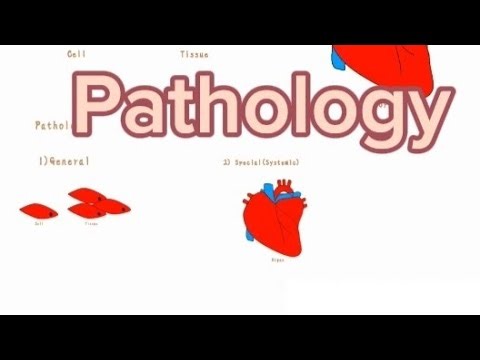 Pathology (1) Introduction to Pathology (Af-Soomaali)