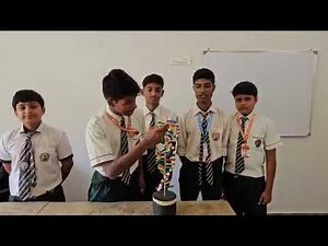 DNA Model