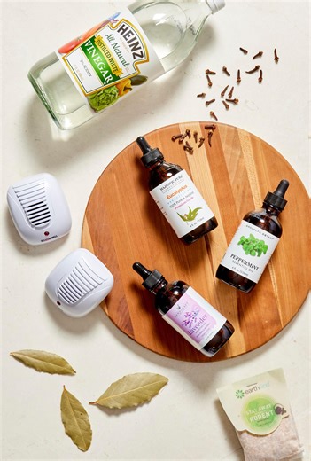 Natural Rat Repellents: 9 That Actually Work for a Pest-Free Home