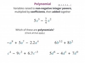 Algebra: What are polynomials? - School Yourself