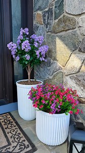 4.8K reactions · 274 shares | Comment “spring flowers” for the link or check the link in my bio. I may not have a green thumb, but you’d never know with these flowers! A little mulch, and no one can tell the difference—everyone thinks they’re real! | Marina_Ivanova | Facebook