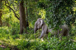 Join the 2030 circle today and help the natural world